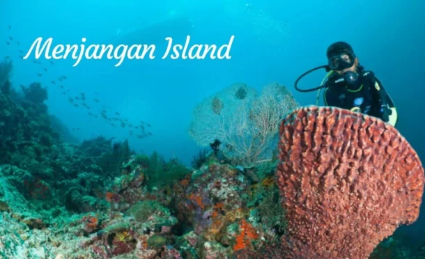Menjangan Island Menjangan Island